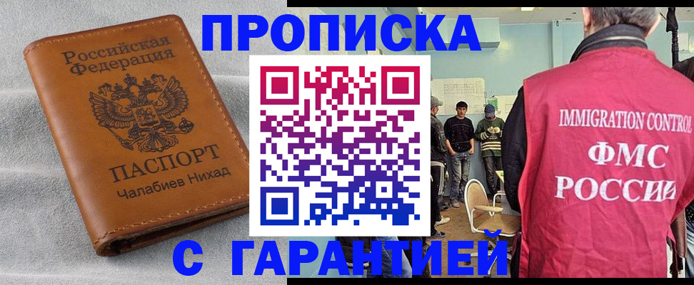 прописка в Бердске